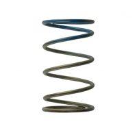 Turbosmart Gen 4/IWG WG38/40/45/50L 10PSI OUTER SPRING - BROWN/BLUE