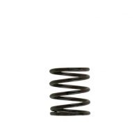 Turbosmart Gen 4/IWG WG38/40/45/50L 3PSI INNER SPRING - BROWN/BLACK